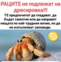 Албум