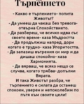 Албум