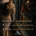 Албум