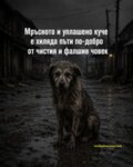 Албум