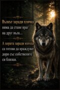 Албум