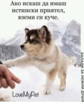 Албум