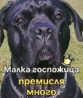 Албум