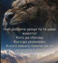 Албум