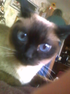 Моята любима Сузи!!