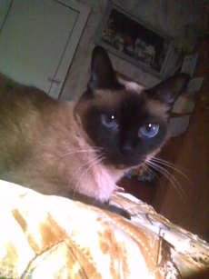 Красивата ми Сузи!!