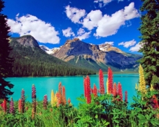 Красотата не се н...