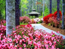 Нима е нужен  ком...