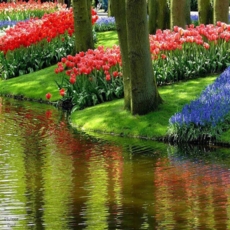 Без коментар!!