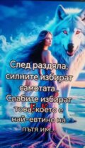 Албум