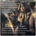 Албум