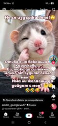 Албум
