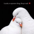 Албум