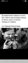 Албум