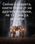 Албум