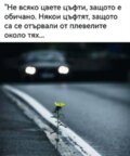 Албум