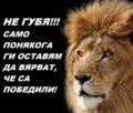 Албум