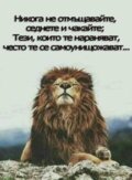 Албум