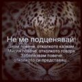 Албум