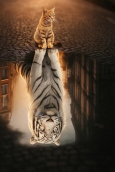 Стани човека,койт...