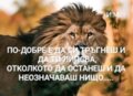 Албум