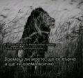 Албум