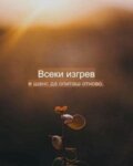 Албум