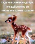 Албум