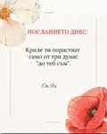 Албум