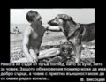 Албум