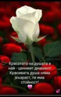 Албум