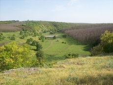 ПРОЛЕТ