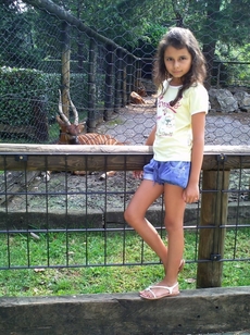 In Italian