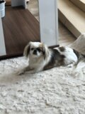 Албум