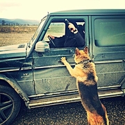 Аватар