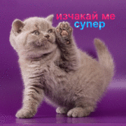 Аватар