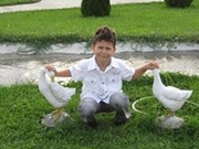 Аватар