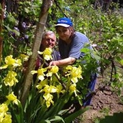 Аватар