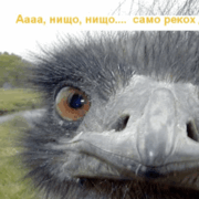 Аватар