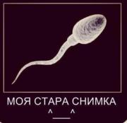 Аватар