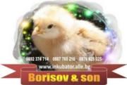 Аватар