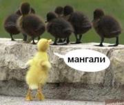 Аватар